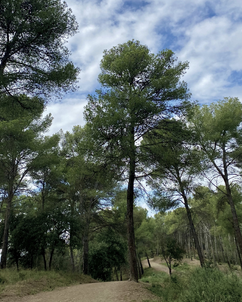 Парк Кан Куиас