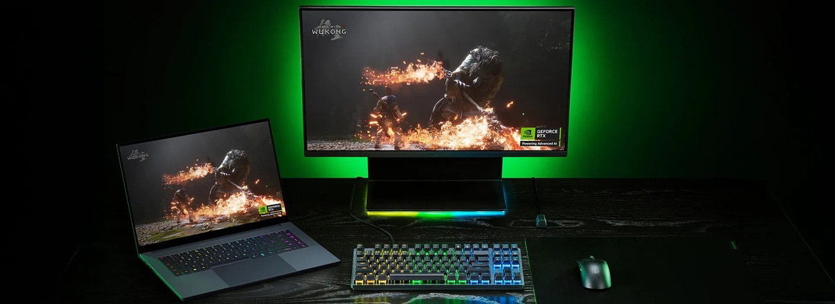 фото Razer  📷
