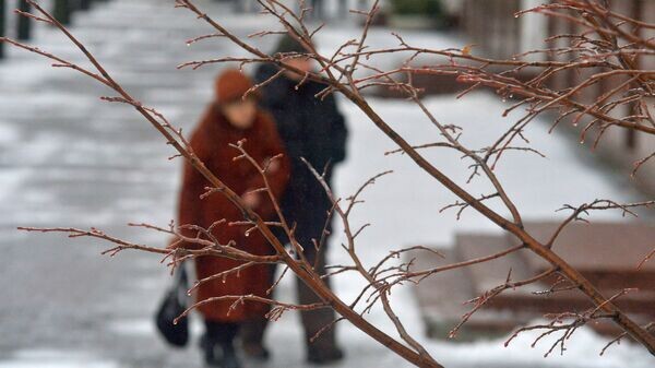    © Sputnik / Виктор Толочко