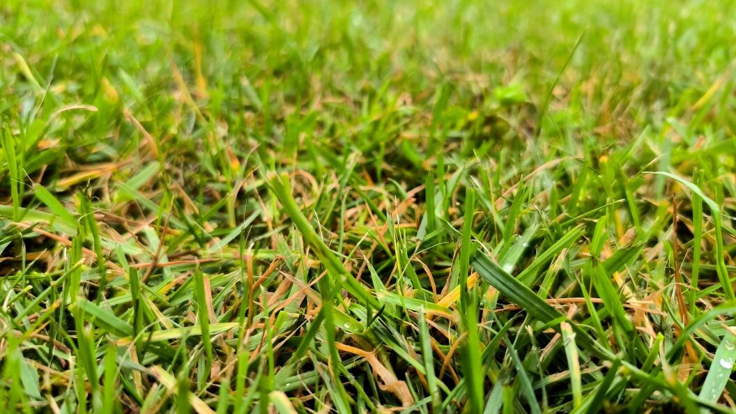    Максим Константинов/Globallookpress