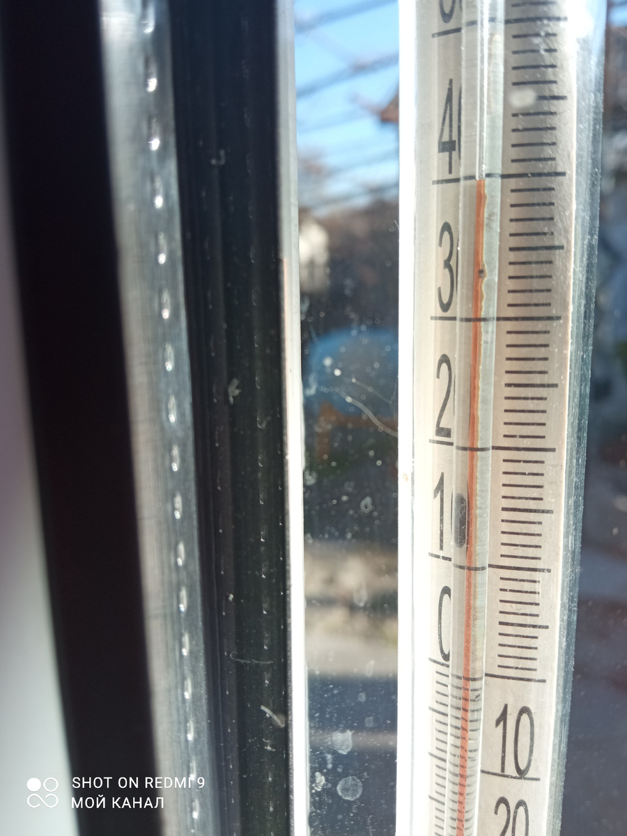 Жаль, что дату в телефоне отменила. Было бы более доказательно. Это январь 2025г. Фото автора.