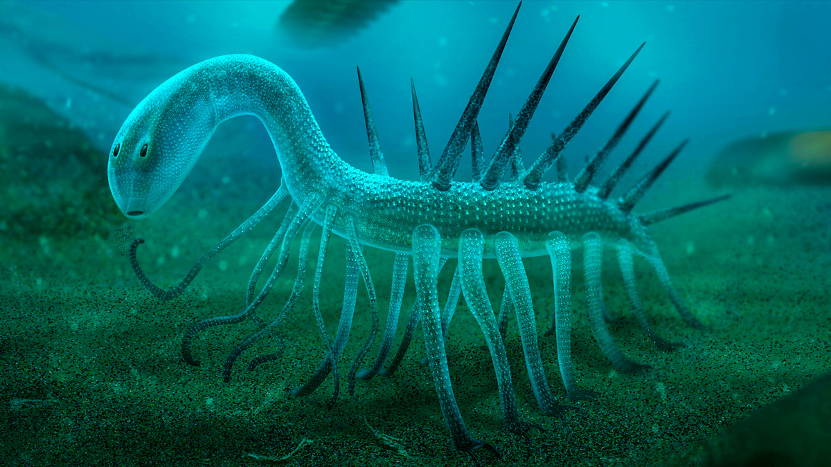 Галлюцигения — живая головоломка из Кембрийского периода. Настоящая "галлюцинация" для палеонтологов!