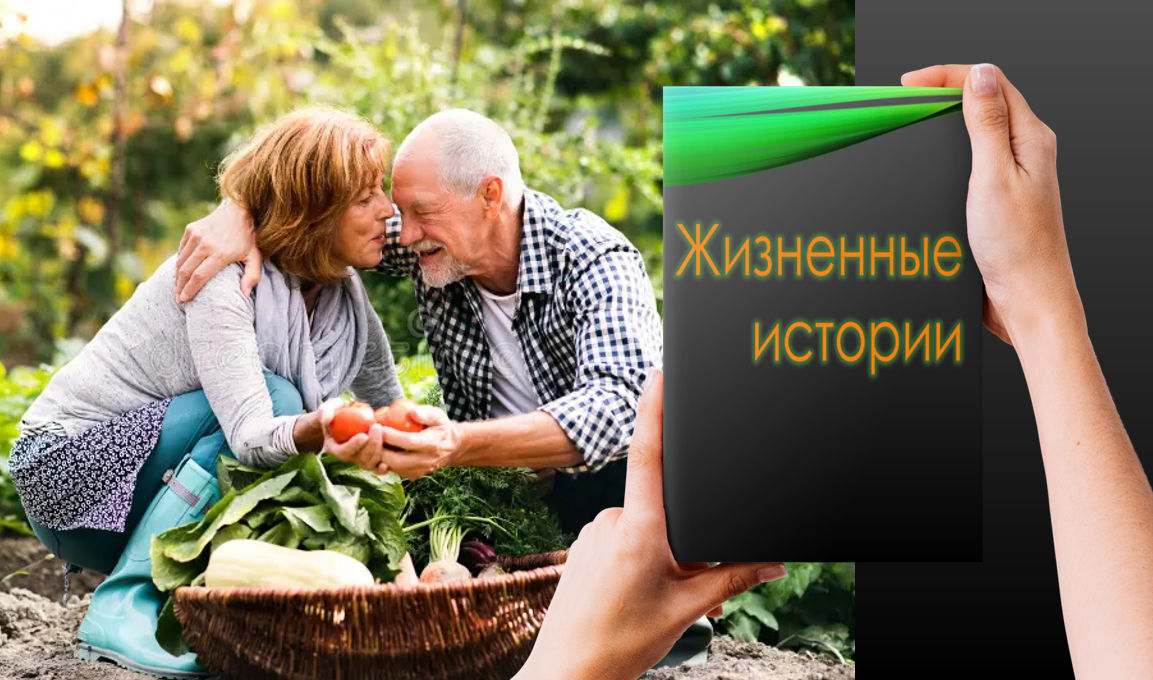 Как дачница сделала пенсионера “зафрахтованным лайнером”