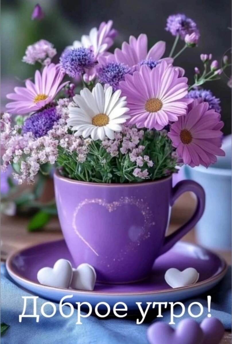 Фото из свободного доступа интернета