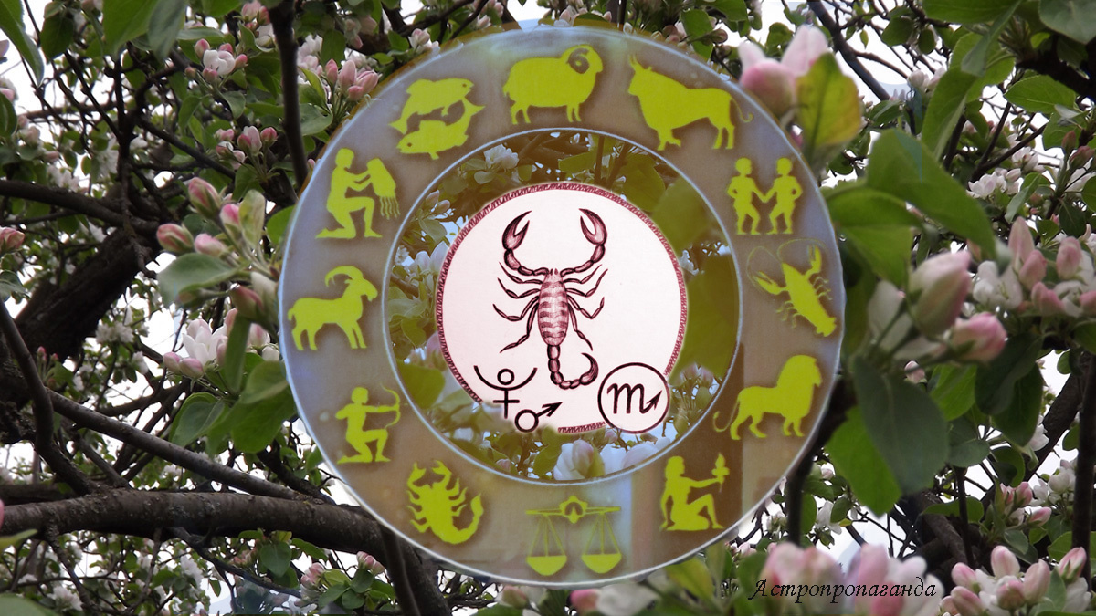 Гороскоп для Скорпиона на апрель 2025. 