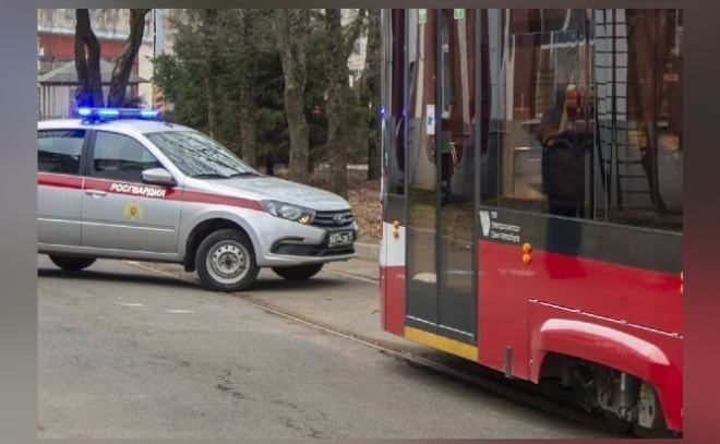    © Пресс-служба ГУ Росгвардии по Петербургу и Ленобласти