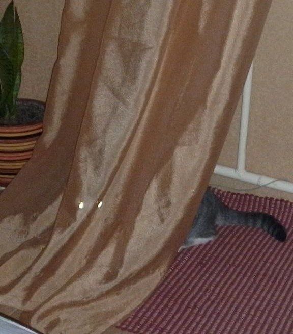 Дикое, но симпатишное!