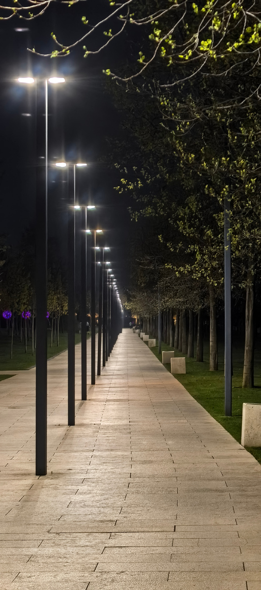 Совсем пустой парк Галицкого.