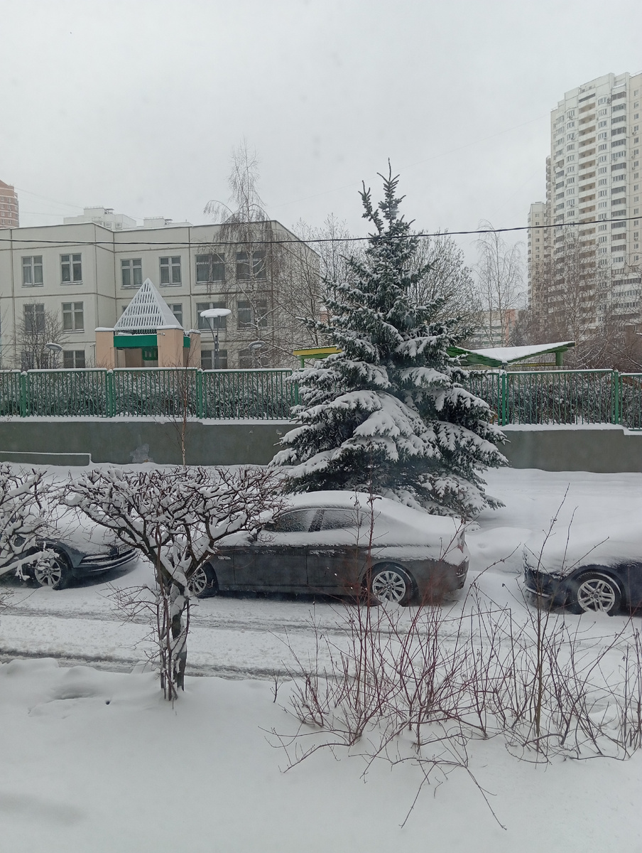 Мое фото утром из окна спальни. 