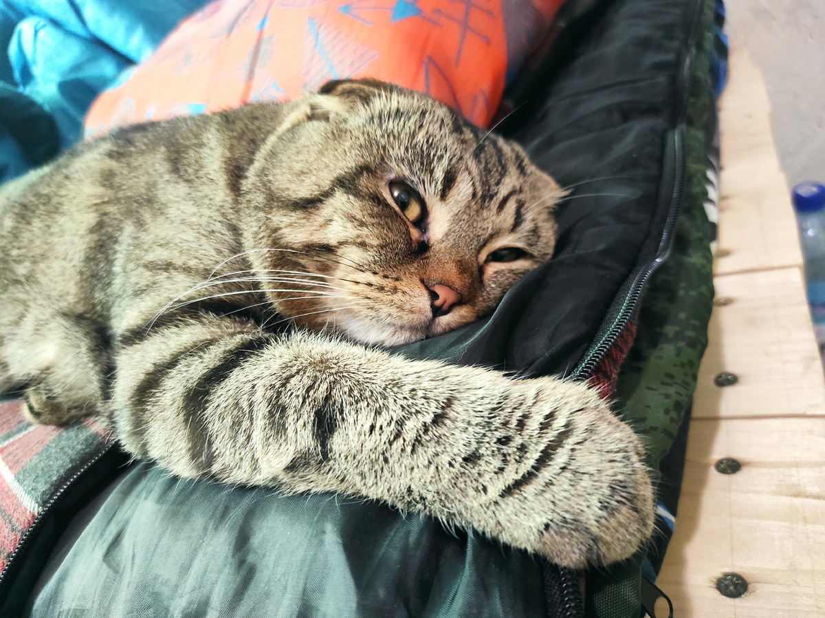 Нормально же лежу, чё?