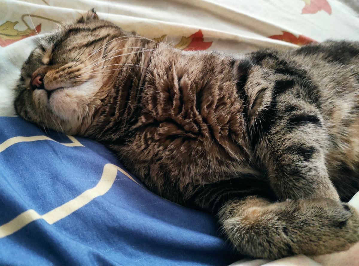 Глубокая медитация