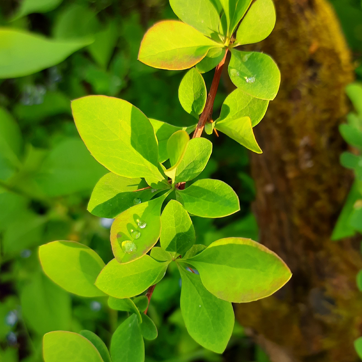 Чтобы находиться в относительном равновесии, нужно сознательно поддерживать приятное состояние внутри себя ежемоментно.