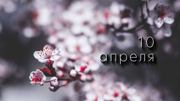    © Photo : Brett Sayles: Pexels