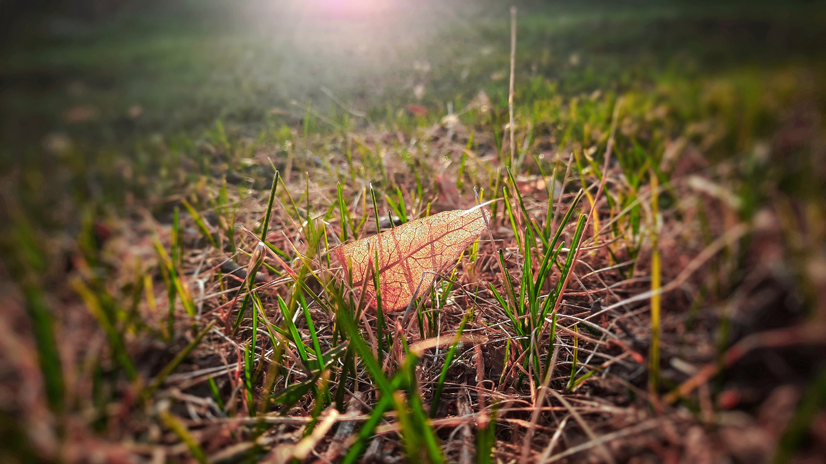 Моё фото в обработке 