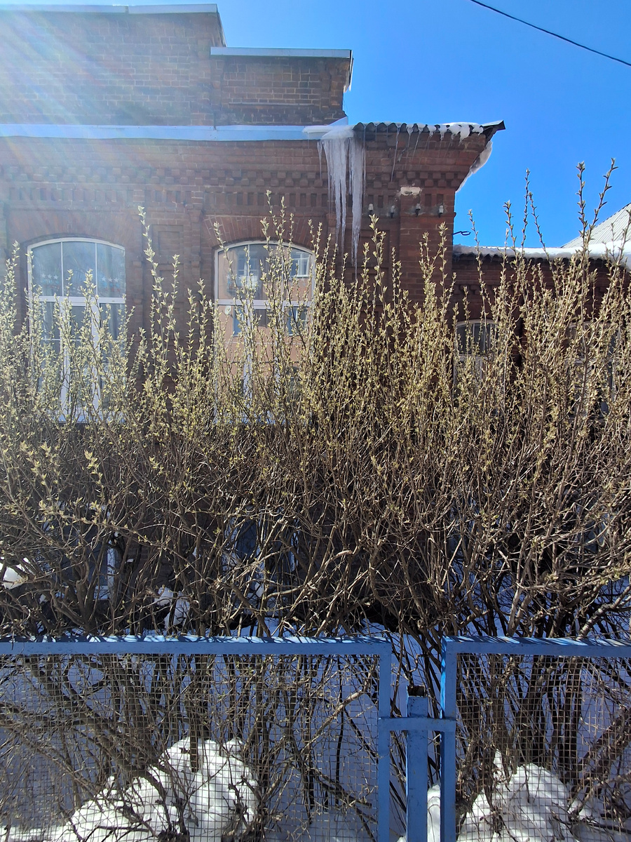 Фото автора канала 