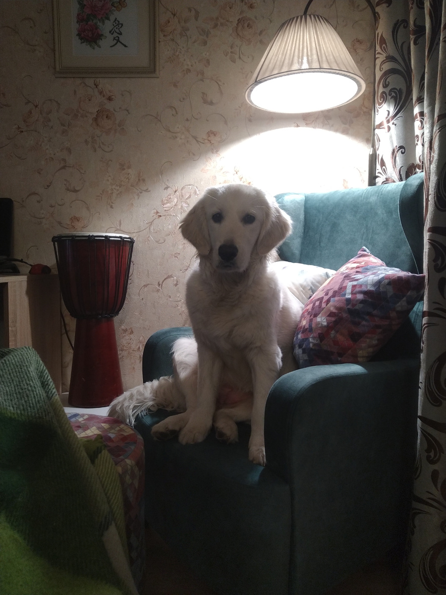 Мои места для чтения дома