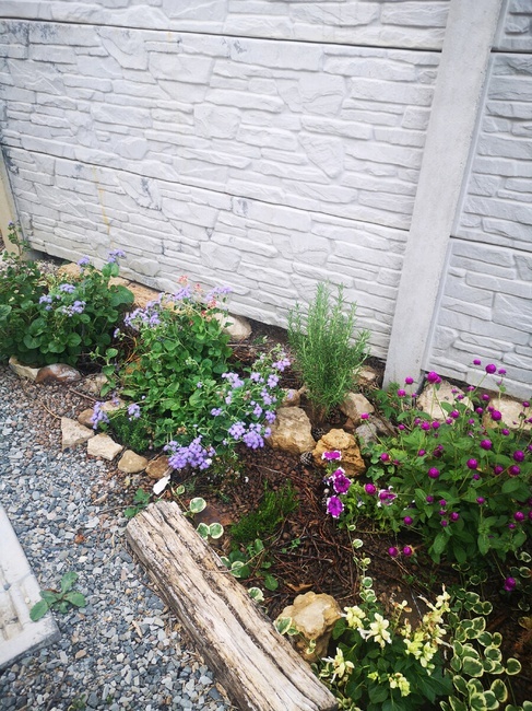 Кстати, где-то здесь, возле бревнышка и сажала, фото как раз того лета