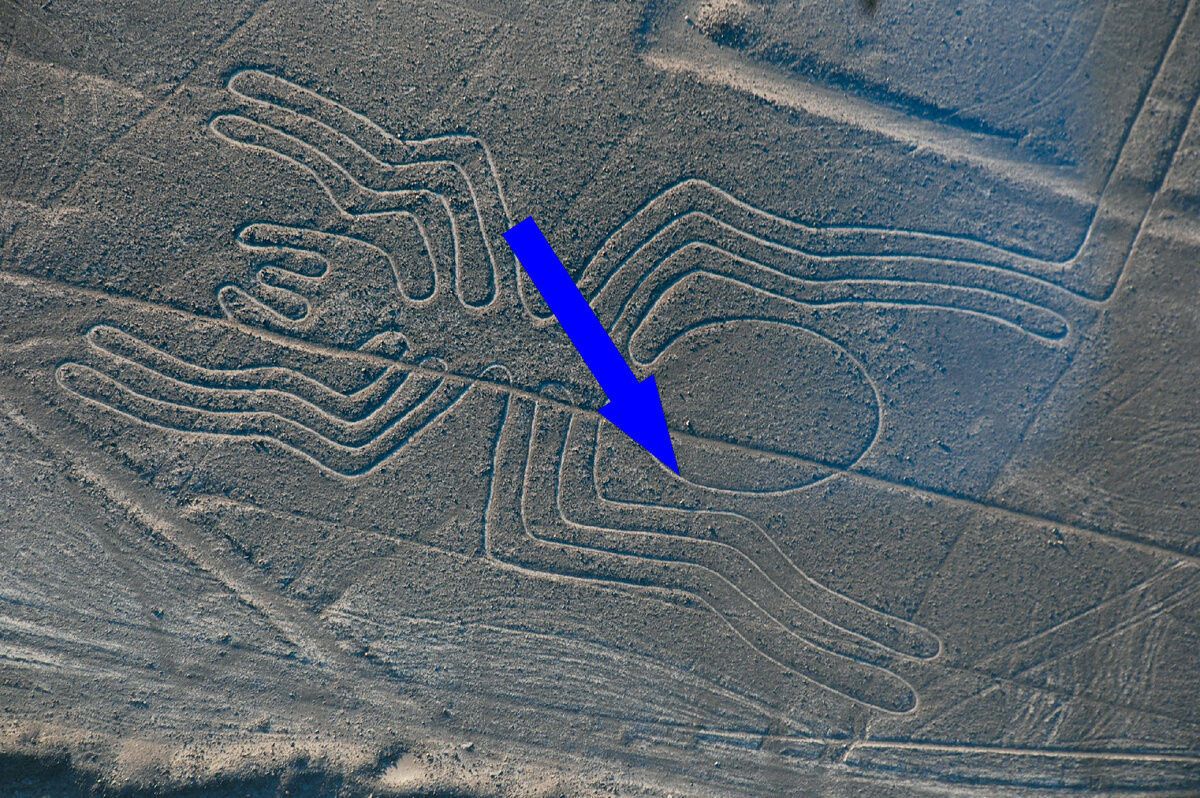    Тайна линий Наски раскрыта или почему перуанские гиганты до сих пор не дают покоя ученым