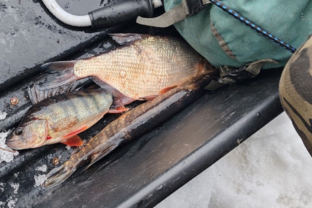 Фото Минприроды Коми