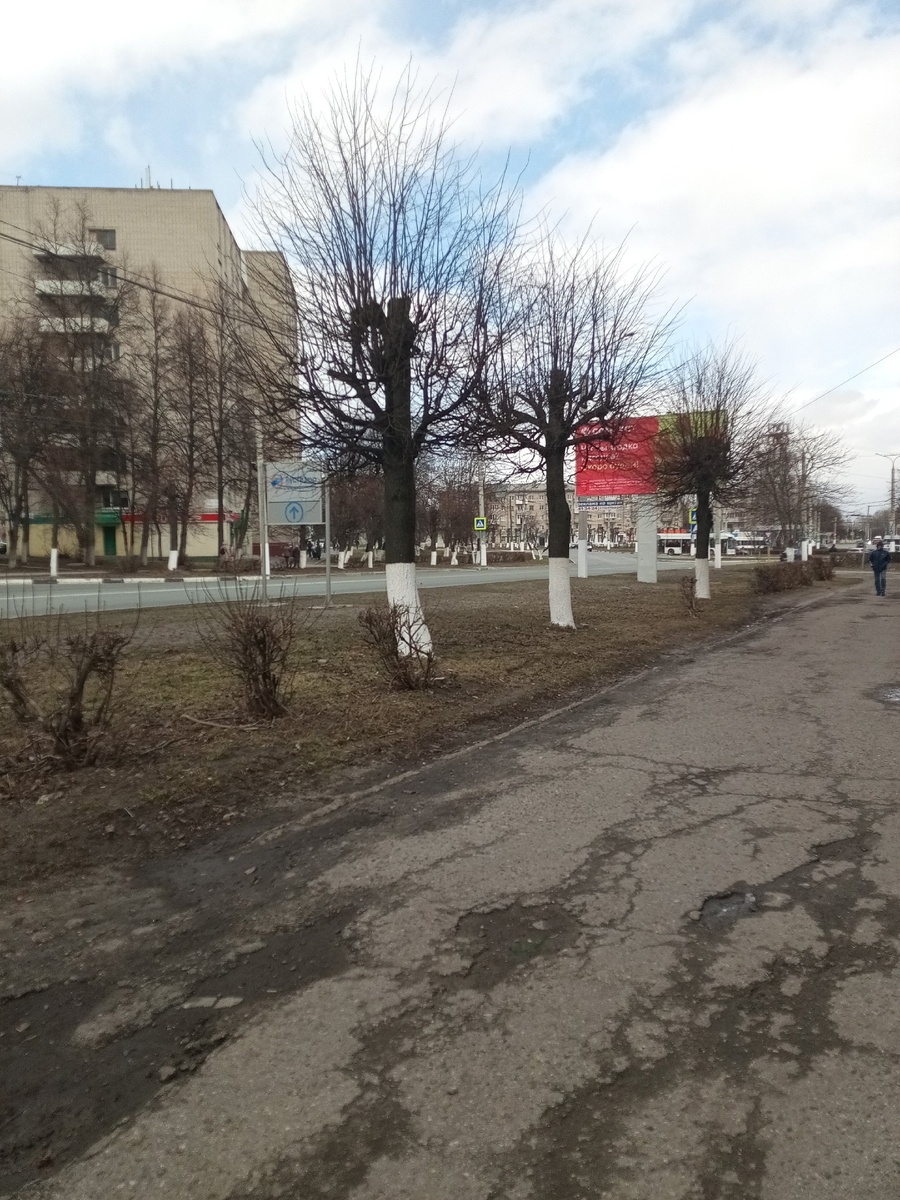 свои собственые фотографии 