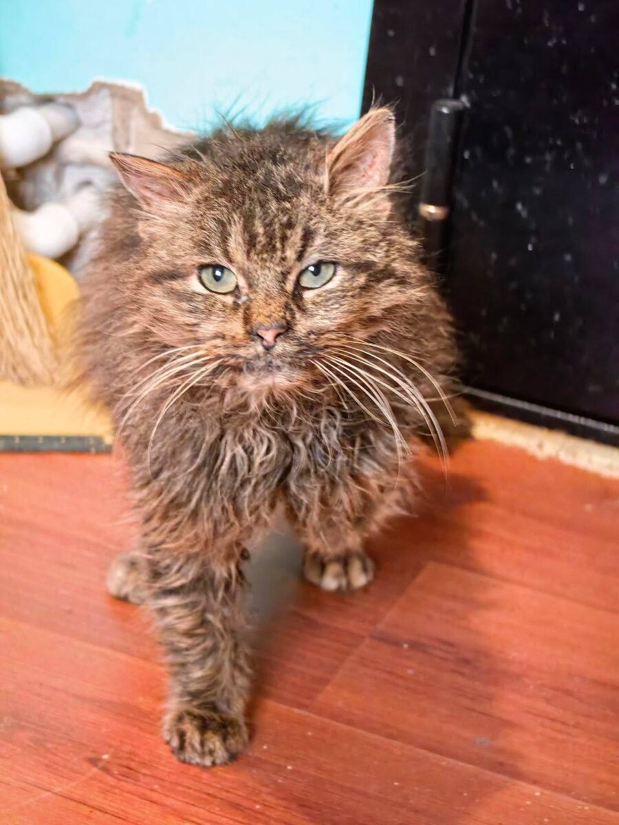 Федот. Фото из архива автора