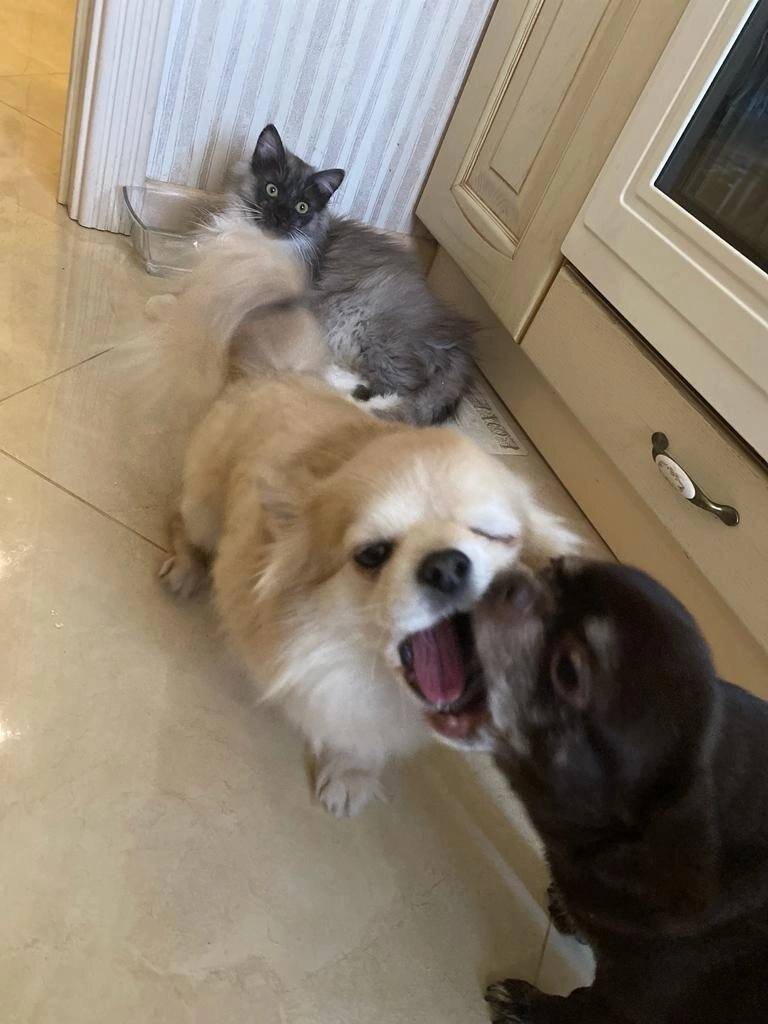 Фото из архива автора