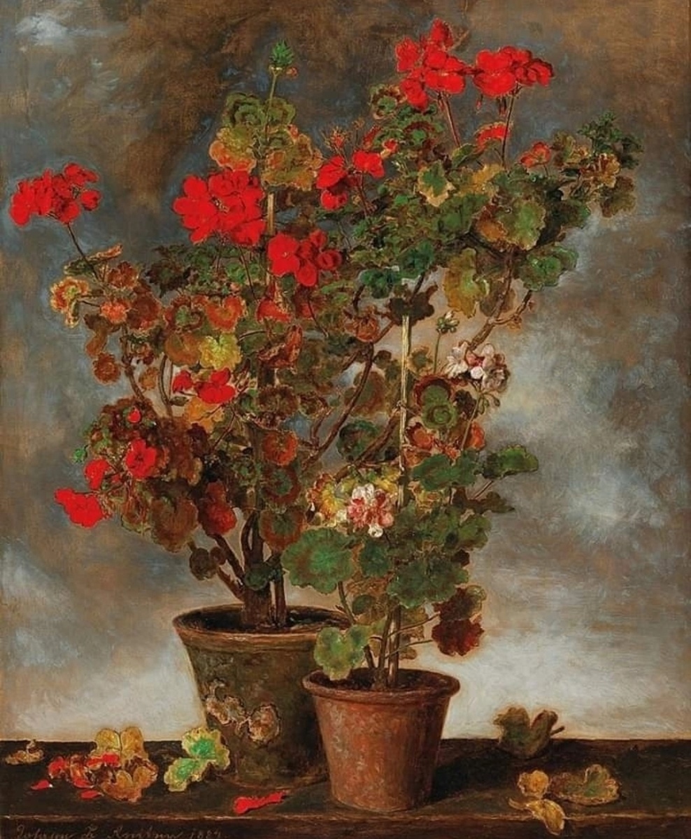 Герань. Австрийский художник Иоганн Баптист Райтер.