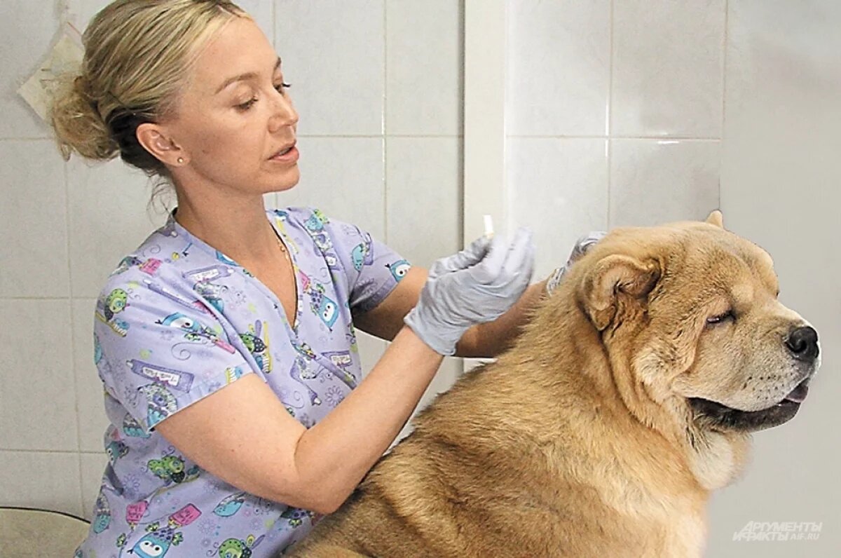    Все виды защиты от клещей можно комбинировать.