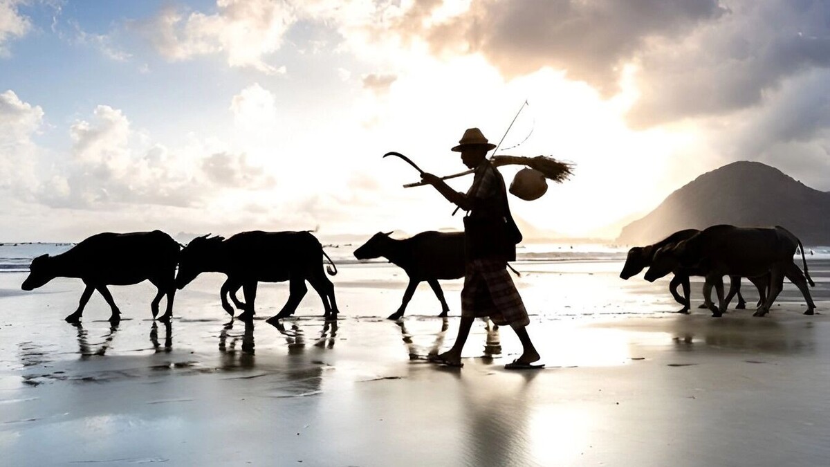     Источник: freepik.com