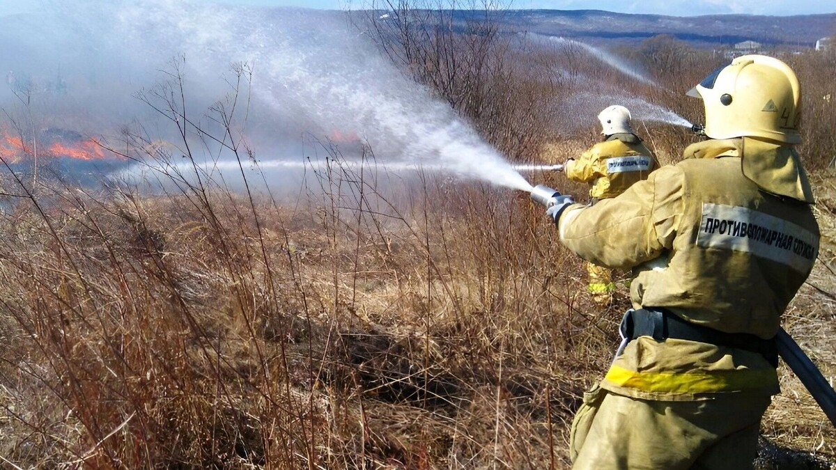     Источник: Пресс-служба губернатора и правительства Хабаровского края