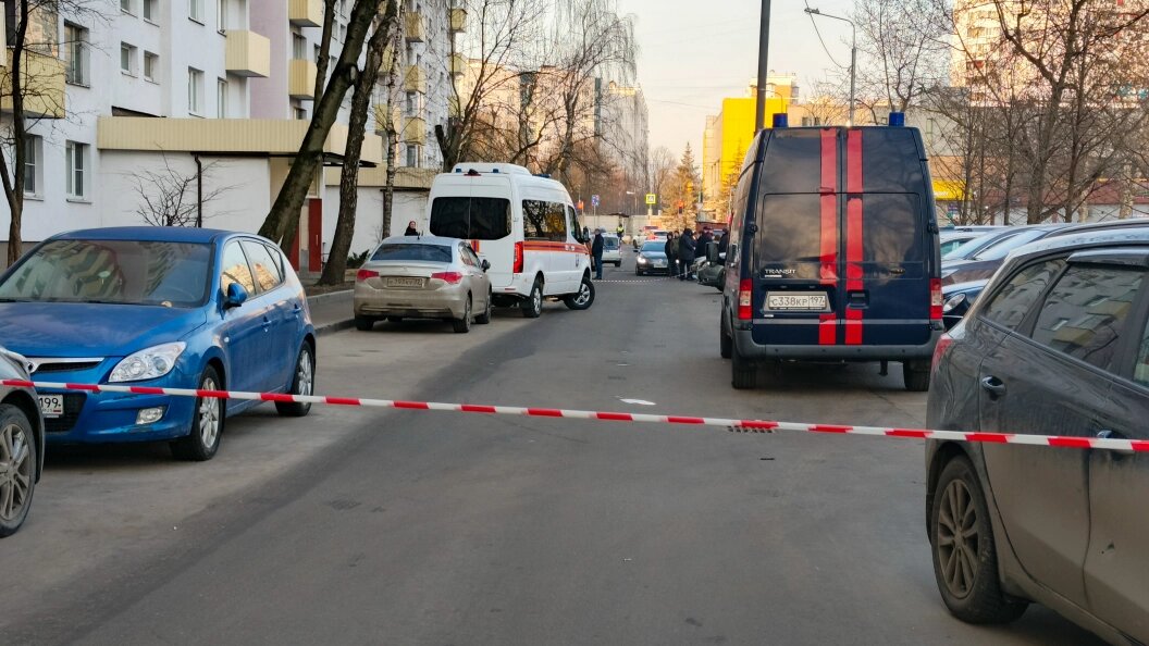    Фото: Pogiba Alexandra/Globallookpress