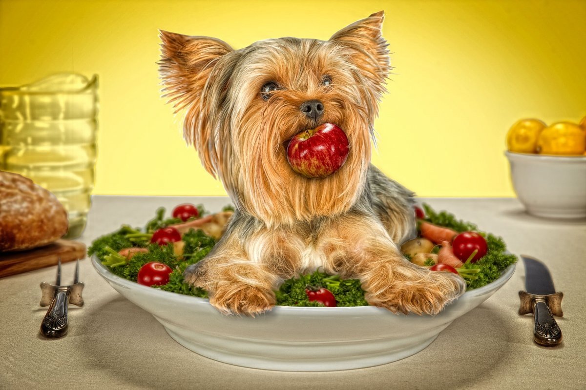 Источник фото Яндекс картинки 