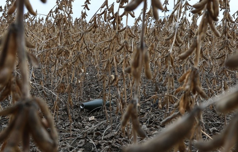    Наталья Шатохина/NEWS.ru