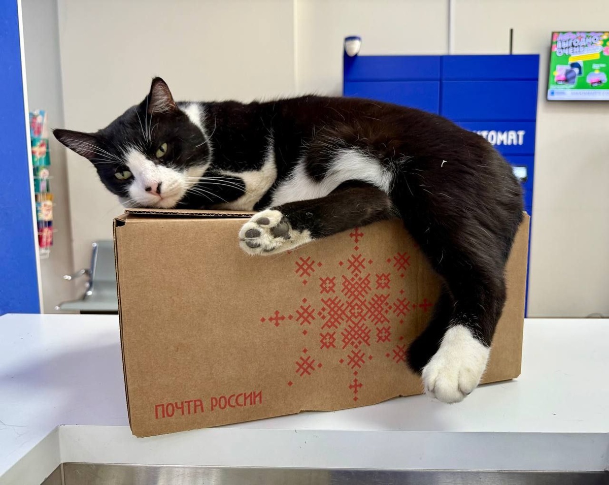Фото: «Почта России»