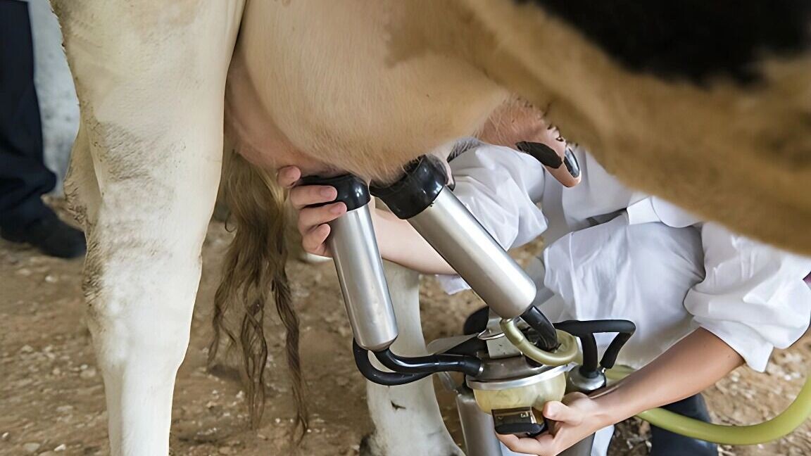     Источник: 1MI