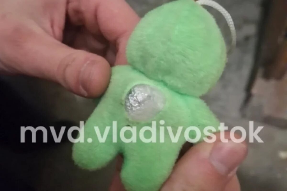    Связка ключей от домофонов: наркозакладчика задержала полиция Владивостока