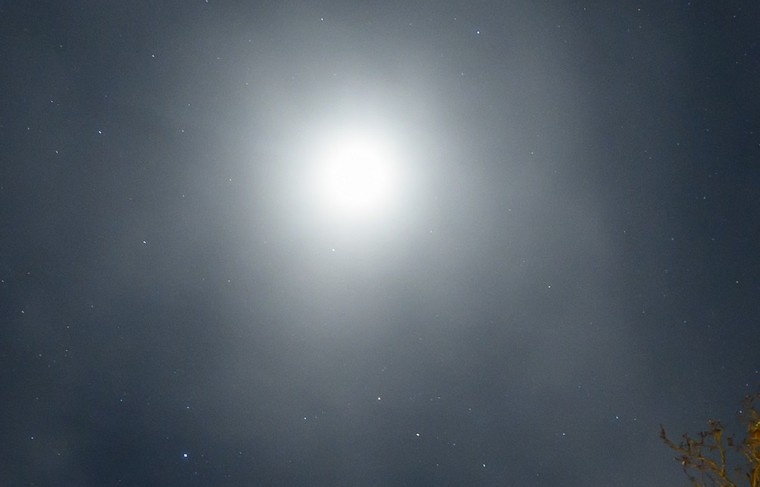    Patrick Pleul/dpa/Global Look Press