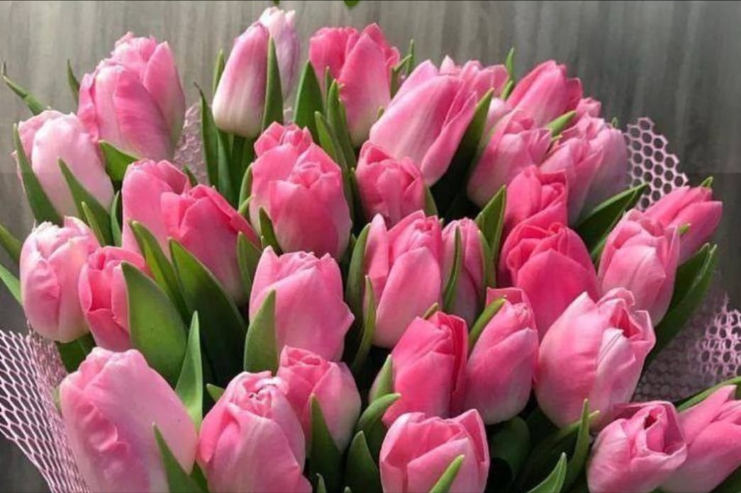 Их открытих источников.