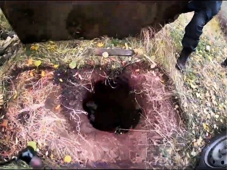    Источник фото: