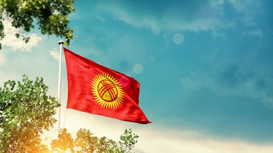    Фото: em_concepts/Shutterstock/Fotodom