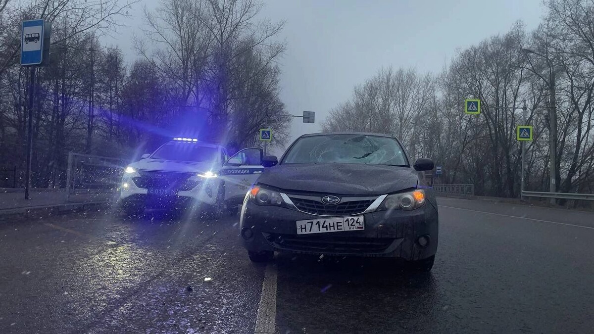     Источник: t.me/gibdd124