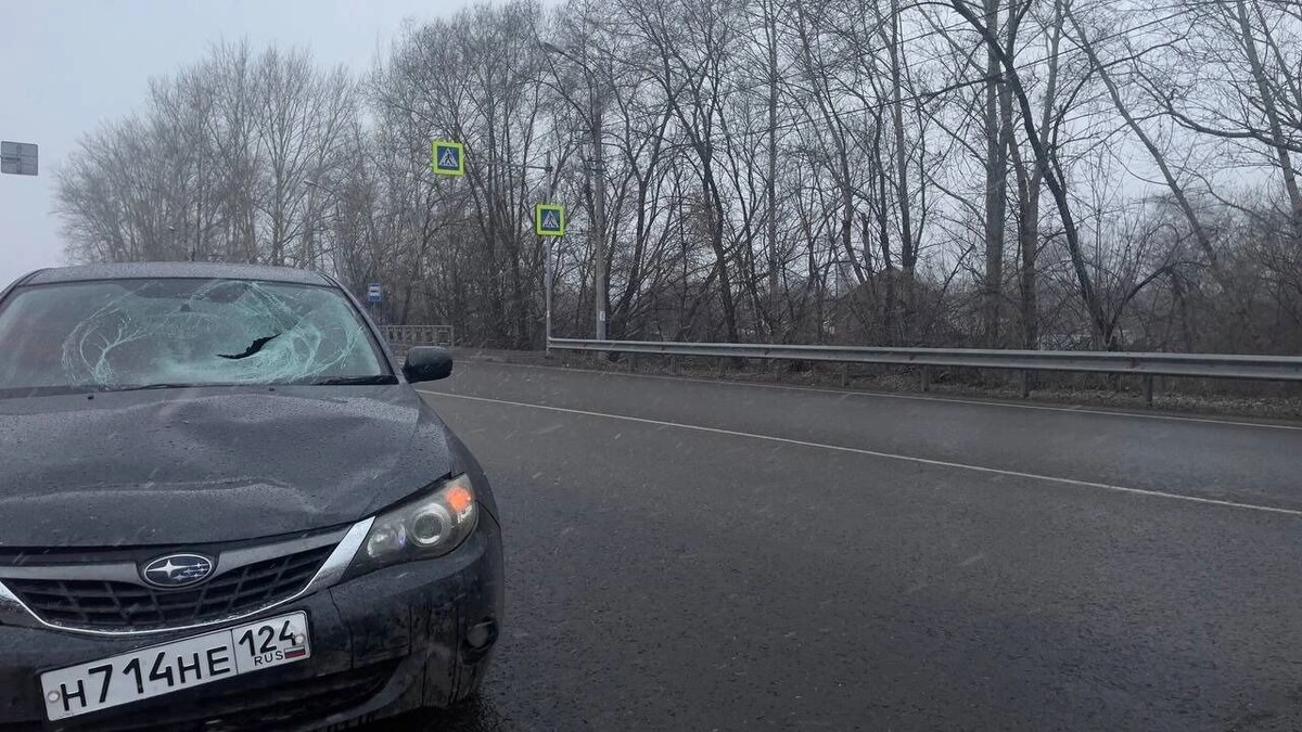     Источник: t.me/gibdd124