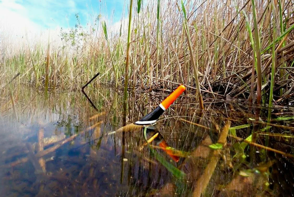 Рыбалка на карася в камышах. Источник фото kasheloff.ru