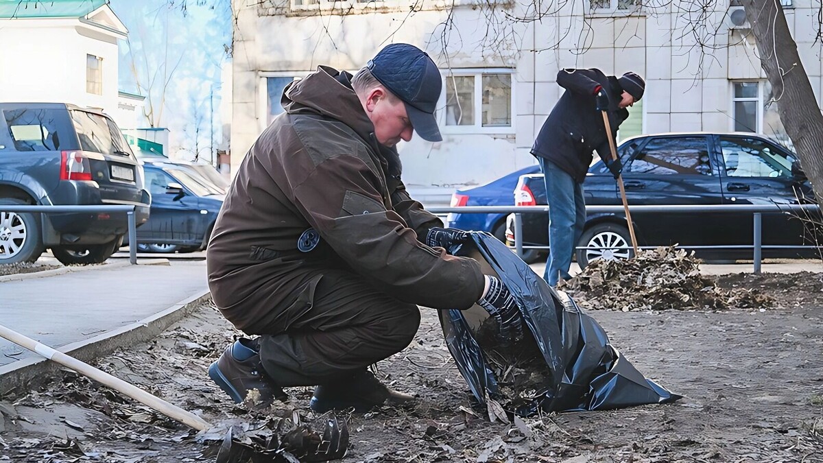     Источник: 1MI