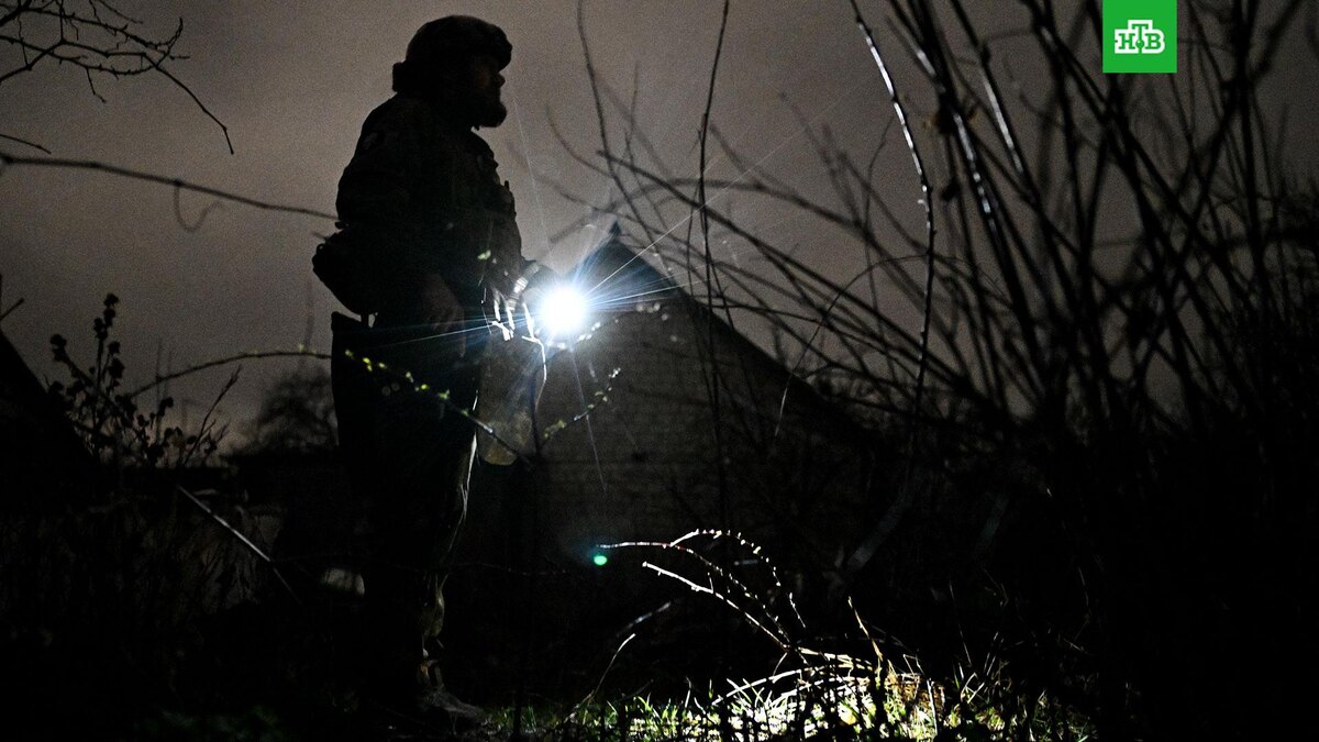    Фото: РИА Новости © 2025, Сергей Бобылев