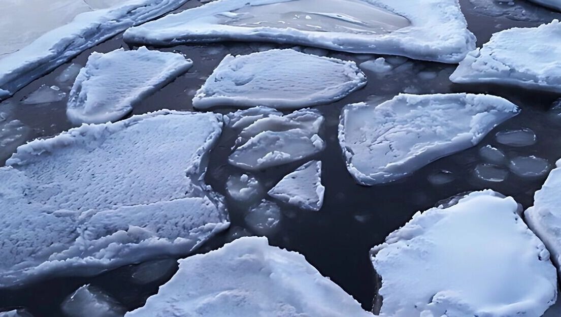     Источник: 1MI