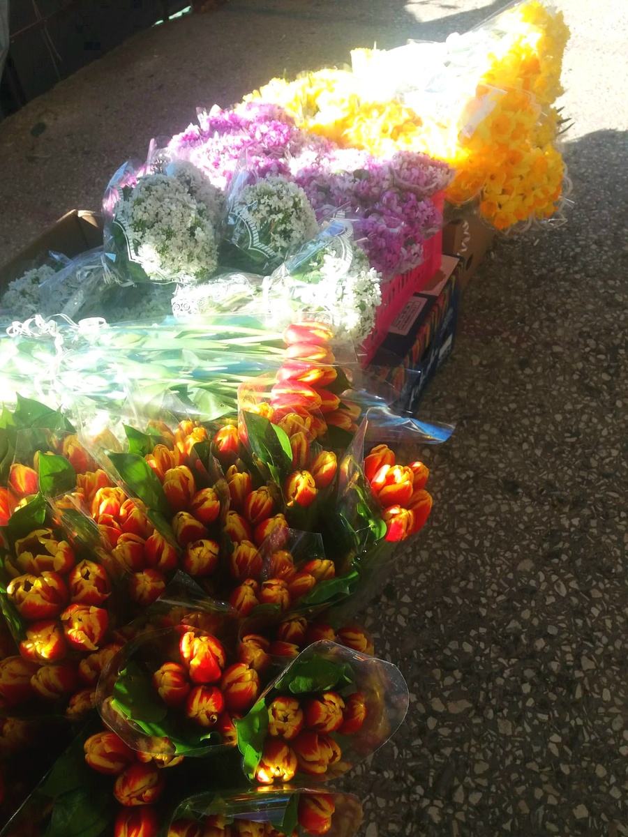 Нарциссы, фиалки, подснежники, тюльпаны