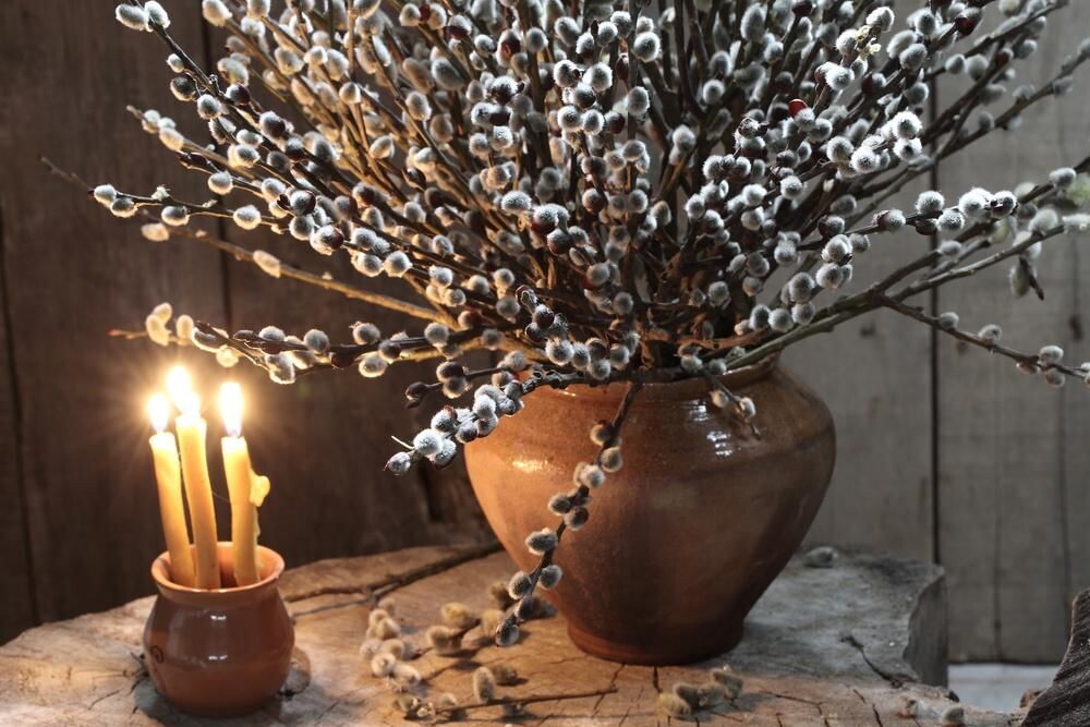 Изображение из открытого доступа