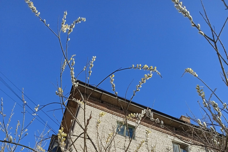    Фото Алексея Яновского специально для VN.ru