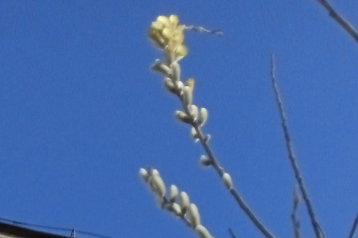 © Фото Алексея Яновского.📷
